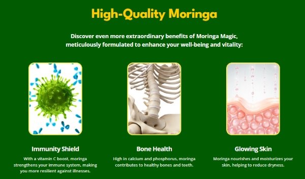 Moringa Magic-high-quality